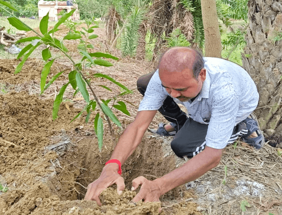 Community Plantation