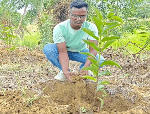 Plantation Drive